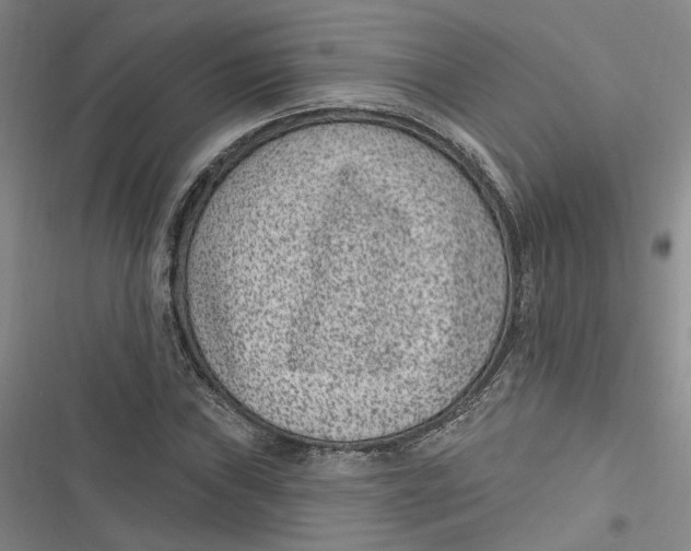 X0000116891019201001121339