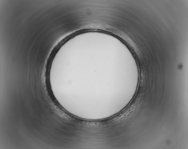 X0000116891020201001121339