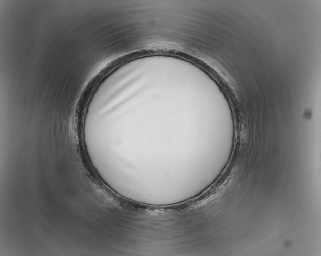 X0000116891022201001121339