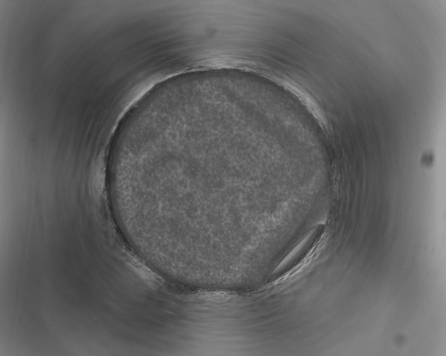 X0000116891023201001121339