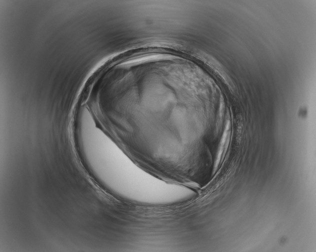 X0000116891024201001121339