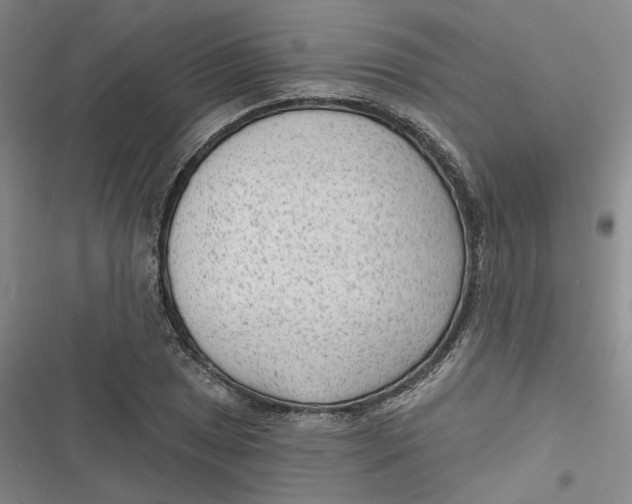 X0000116891025201001121339