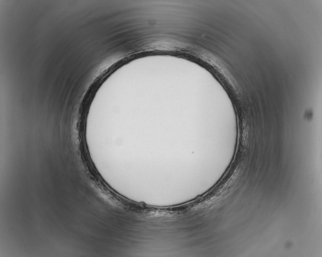 X0000116891026201001121339