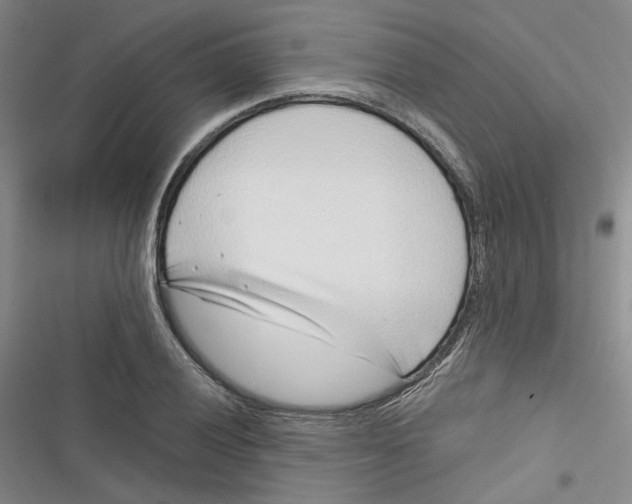 X0000116891028201001121339