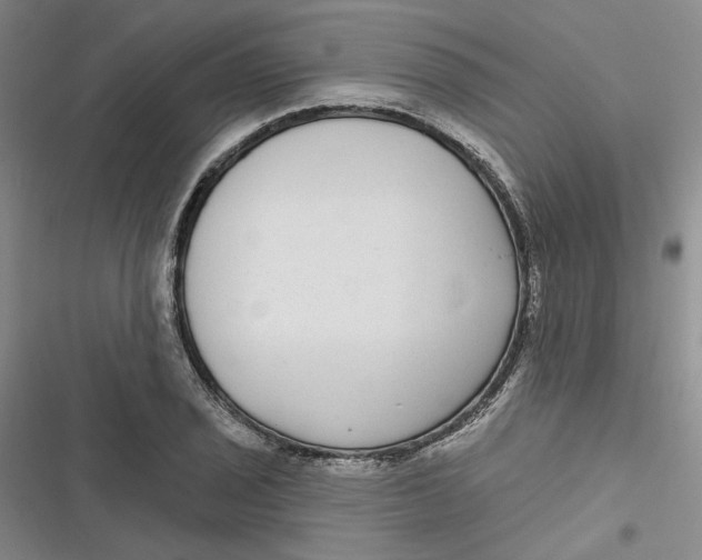 X0000116891029201001121339