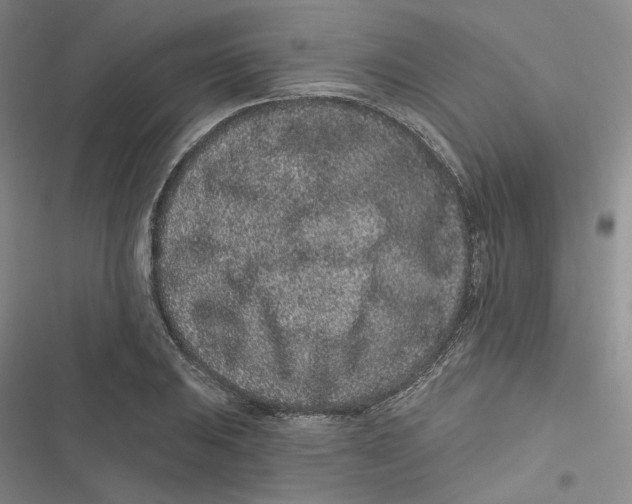 X0000116891031201001121339