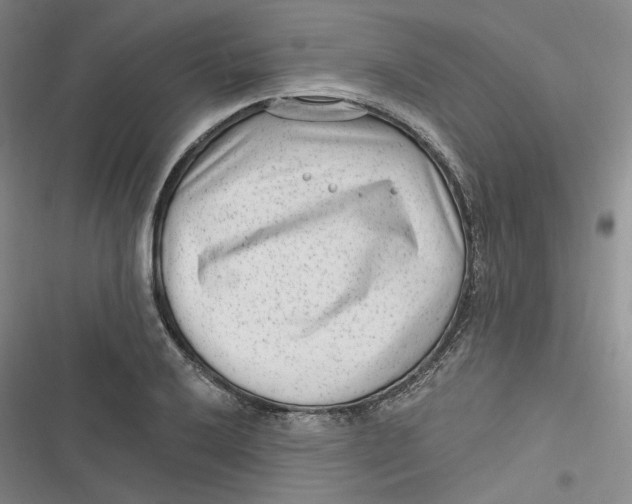 X0000116891032201001121339