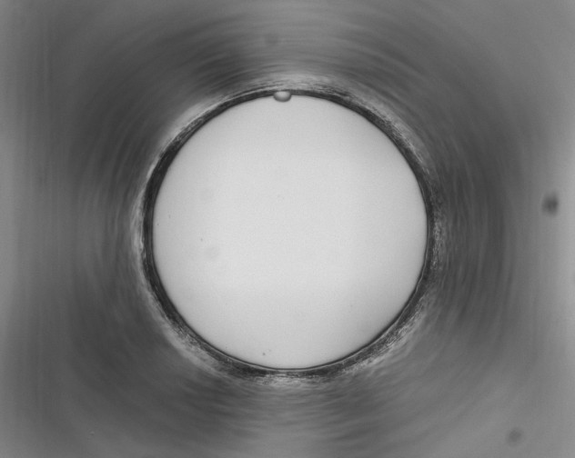 X0000116891034201001121339