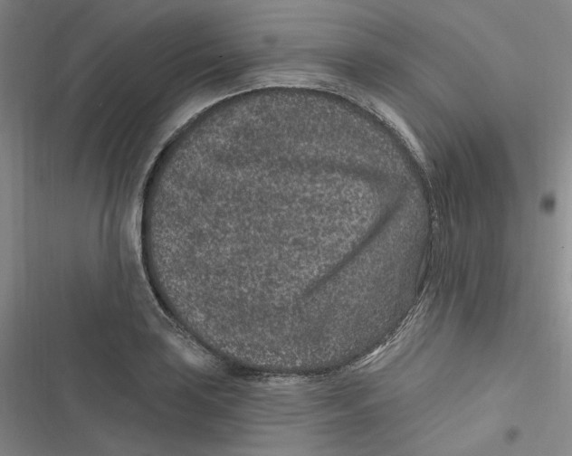 X0000116891035201001121339