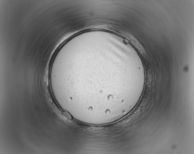 X0000116891036201001121339