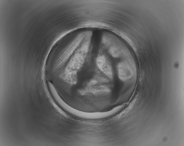 X0000116891037201001121339