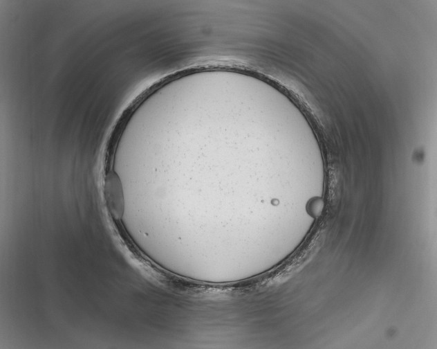 X0000116891038201001121339