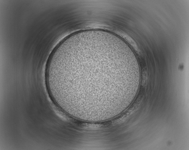 X0000116891039201001121339