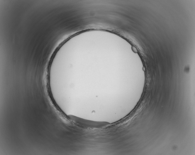 X0000116891040201001121339