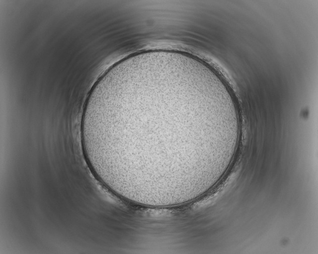 X0000116891041201001121339