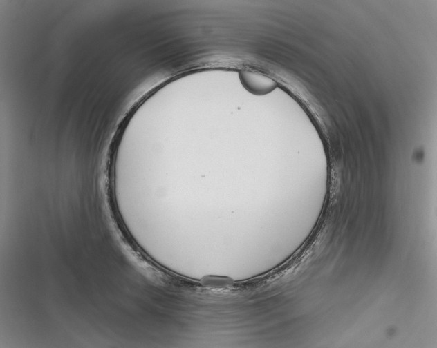 X0000116891042201001121339