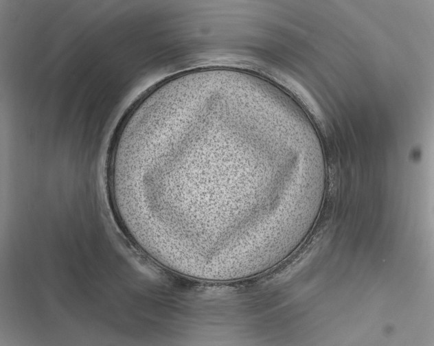 X0000116891043201001121339