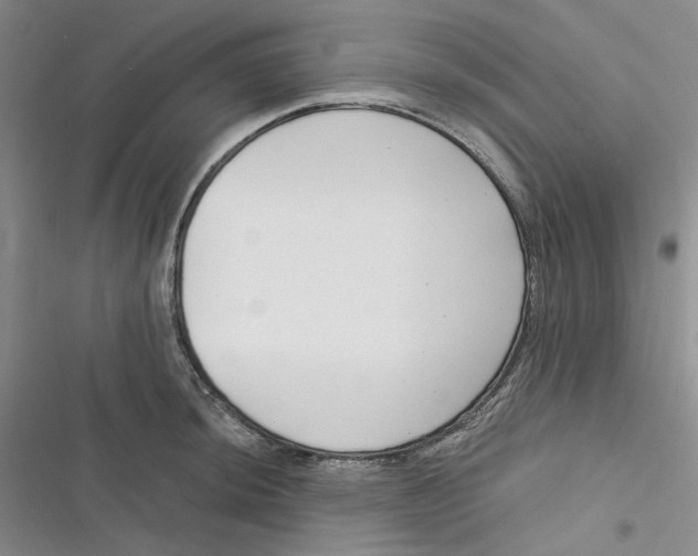 X0000116891044201001121339