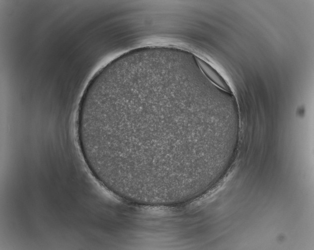 X0000116891045201001121339