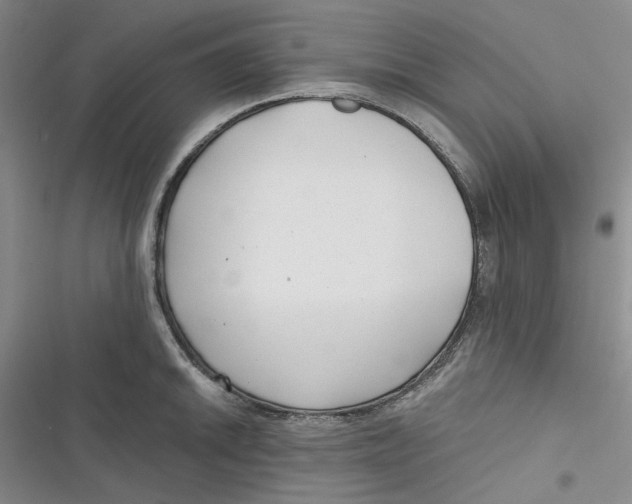 X0000116891046201001121339