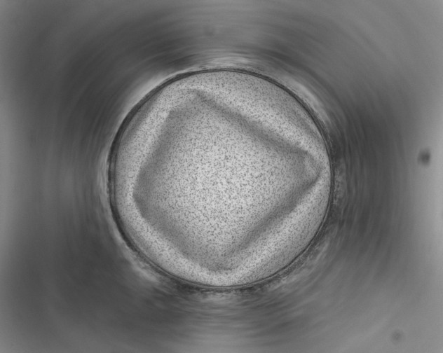 X0000116891047201001121339