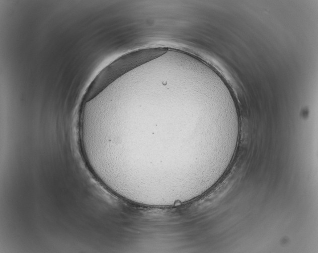 X0000116891048201001121339