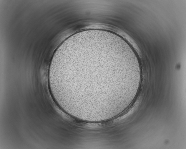 X0000116891049201001121339