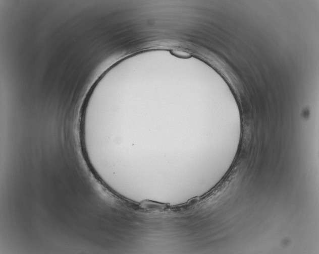 X0000116891050201001121339