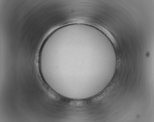 X0000116891051201001121339