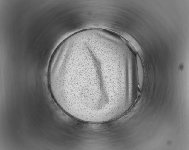 X0000116891052201001121339