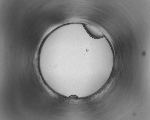 X0000116891053201001121339