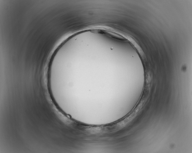 X0000116891054201001121339