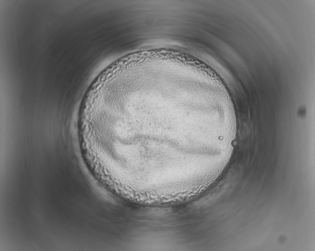 X0000116891055201001121339