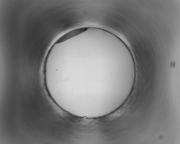 X0000116891056201001121339