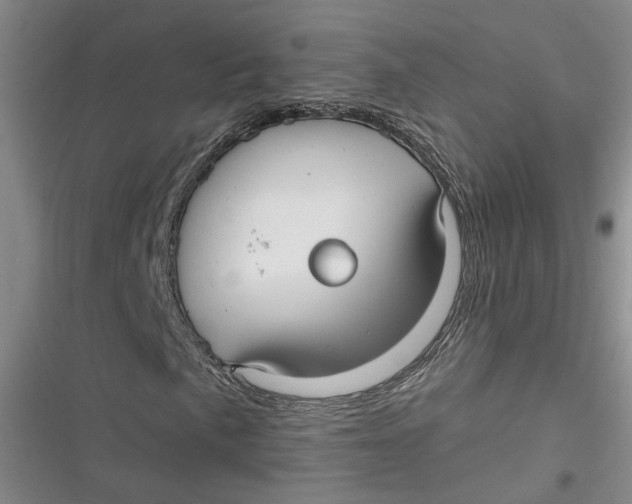 X0000116891057201001121339