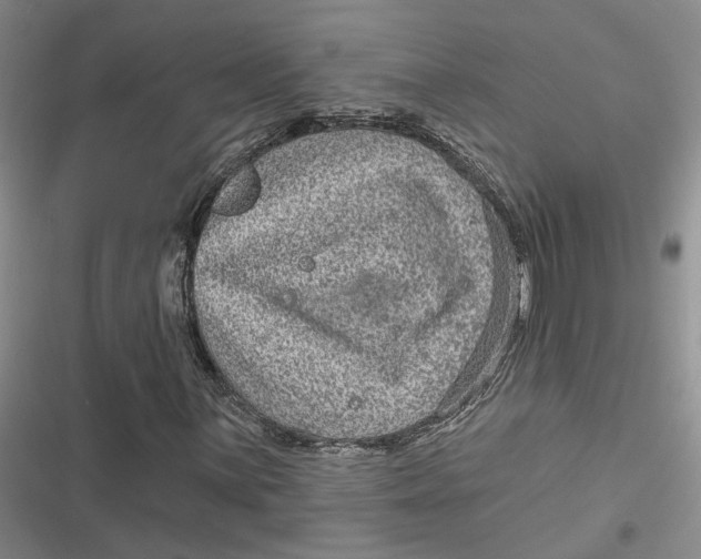 X0000116891059201001121339