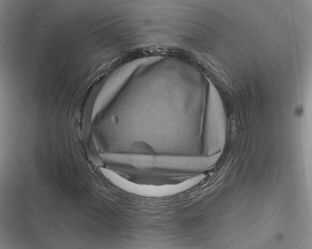 X0000116891060201001121339