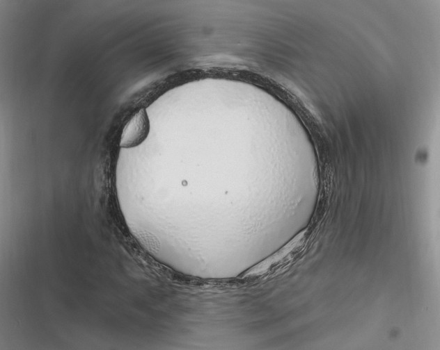 X0000116891063201001121339