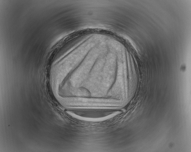 X0000116891064201001121339