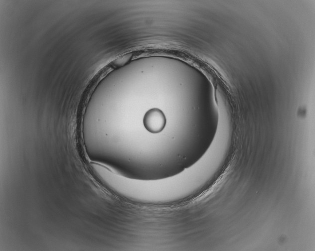 X0000116891065201001121339