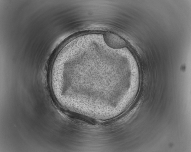 X0000116891066201001121339