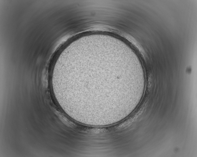 X0000116891067201001121339