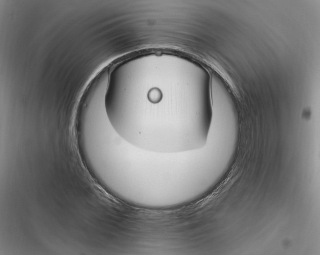 X0000116891068201001121339