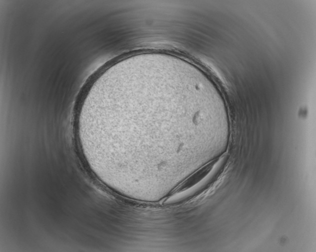 X0000116891071201001121339