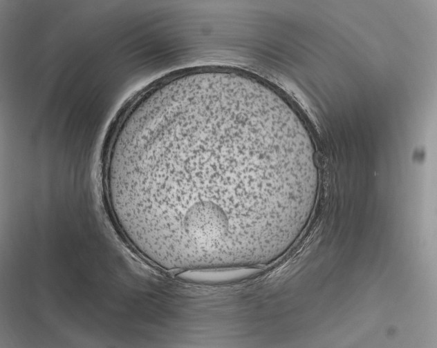 X0000116891072201001121338