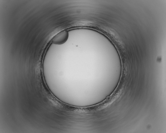 X0000116891073201001121338