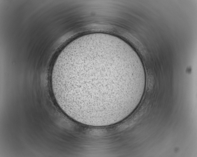 X0000116891074201001121338