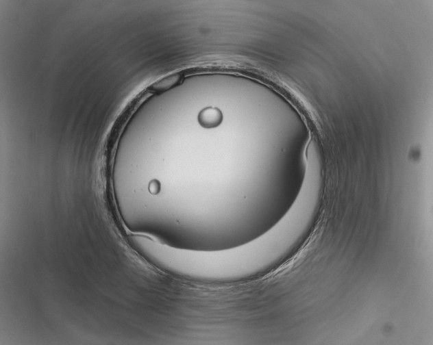 X0000116891075201001121338