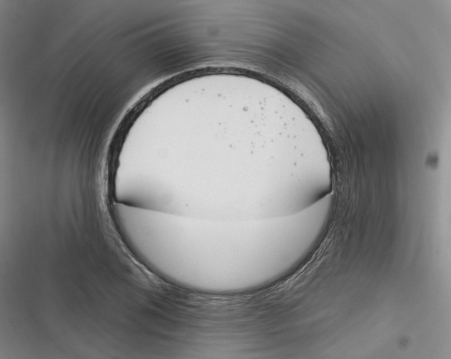 X0000116891076201001121338