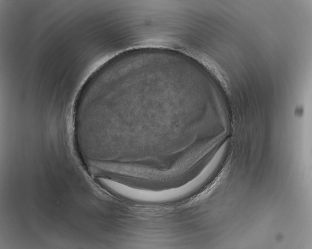 X0000116891077201001121338